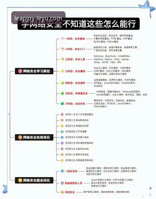 乐鱼官网电脑版全面解析与安全获取指南